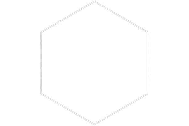 GSP PROTECT - Société de Sécurité Corse