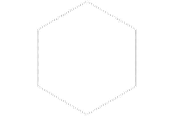GSP PROTECT - Société de Sécurité Corse