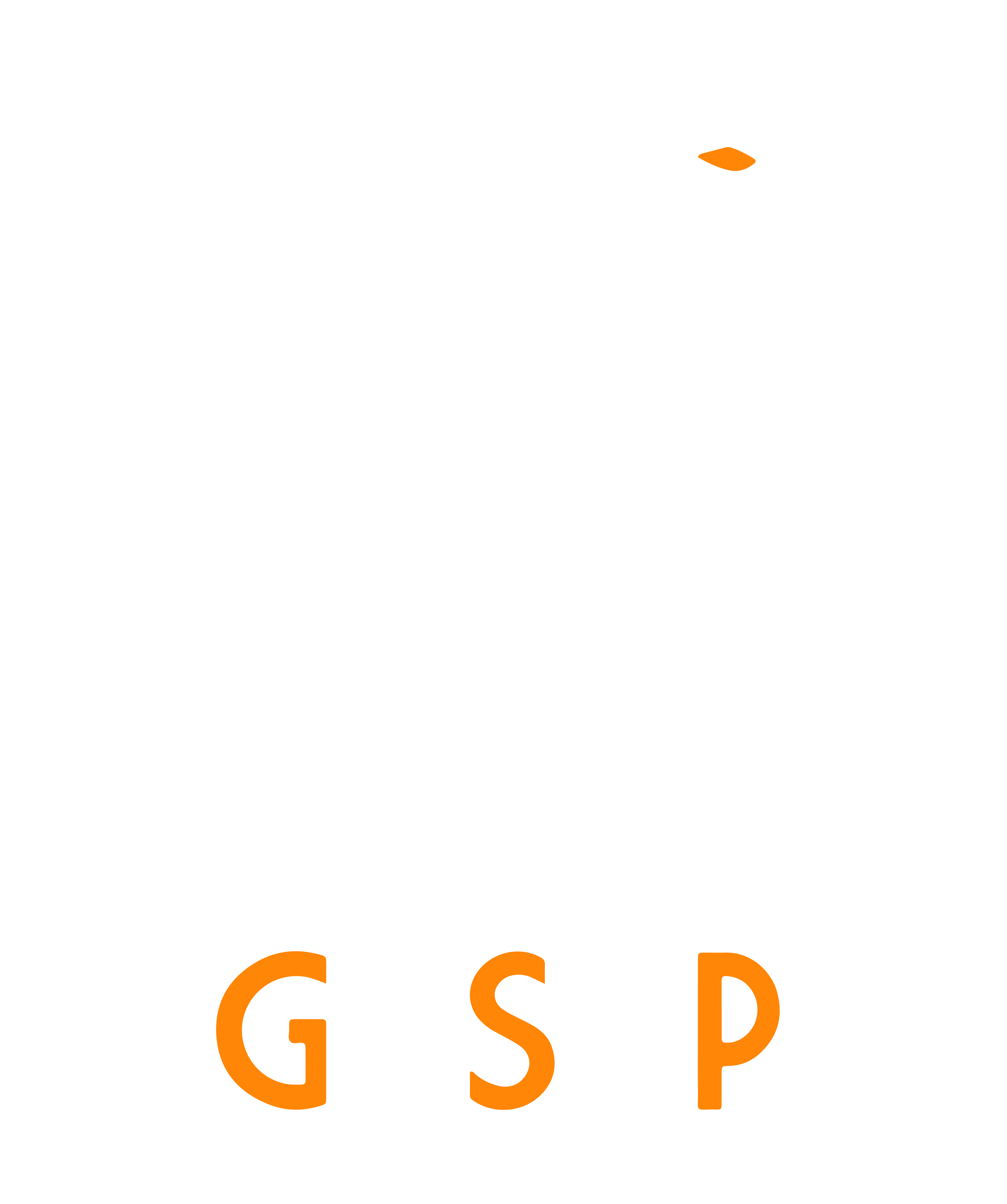 GSP PROTECT - Société de Sécurité Corse