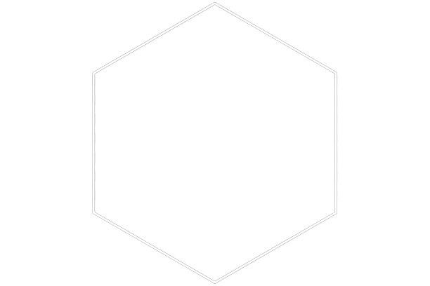 GSP PROTECT - Société de Sécurité Corse