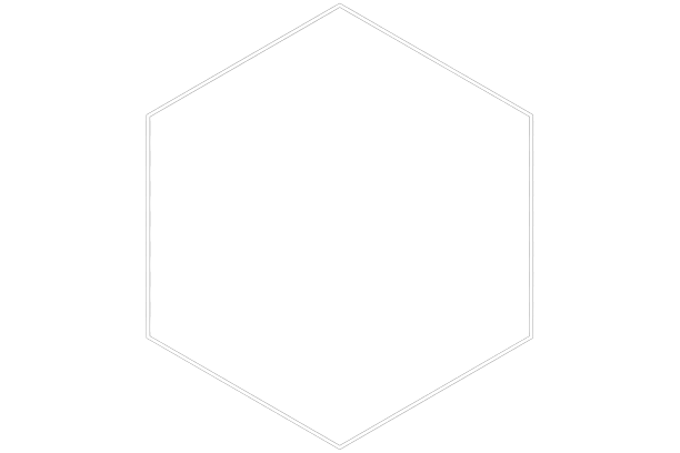 GSP PROTECT - Société de Sécurité Corse