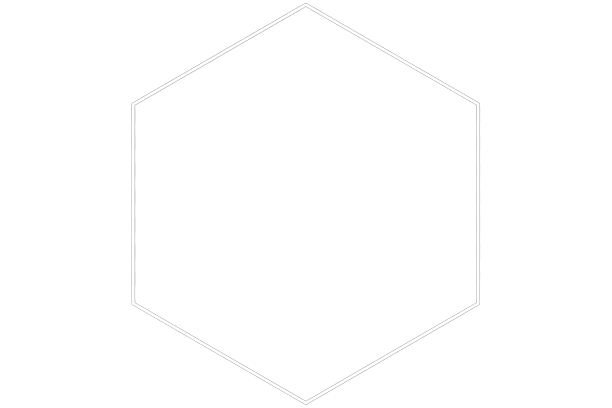 GSP PROTECT - Société de Sécurité Corse