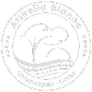 logo_arinella_bianca-removebg-preview[1]