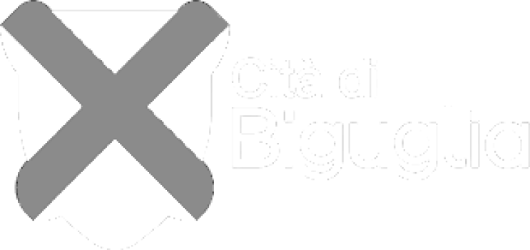 logo_ville_de_biguglia-removebg-preview[1]